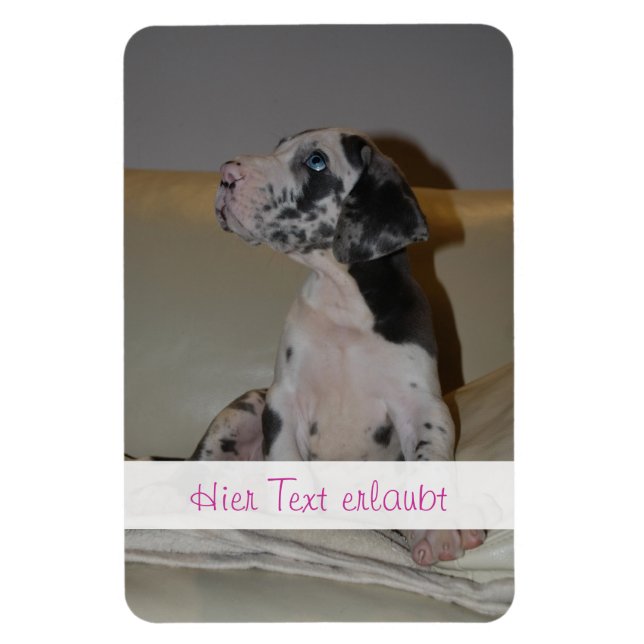 Íman Grandes dinamarqueses (Vertical)