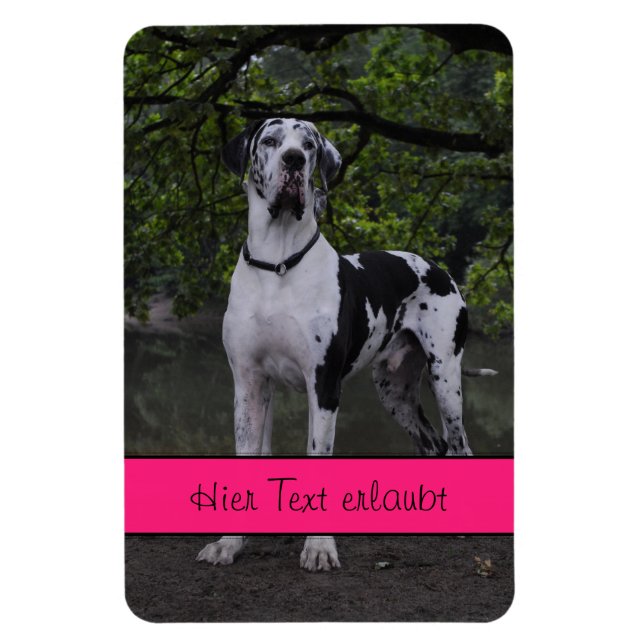 Íman Grandes dinamarqueses (Vertical)