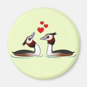Íman Grandes Grebes com crista no amor