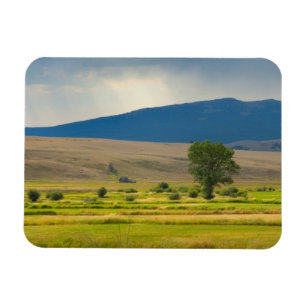 Íman Granite County Montana