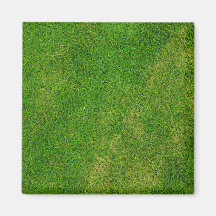 Grass Lawn