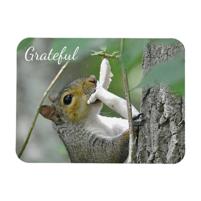 Íman Grateful Squirrel (Horizontal)