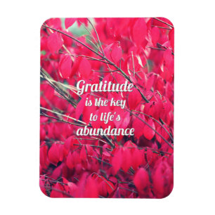 Íman Gratitude