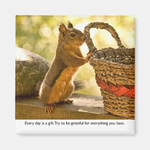 Íman Gratitude Squirrel