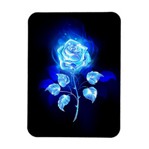 Íman Gravação de Rosa Azul