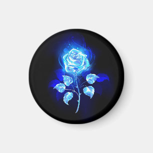 Íman Gravação de Rosa Azul