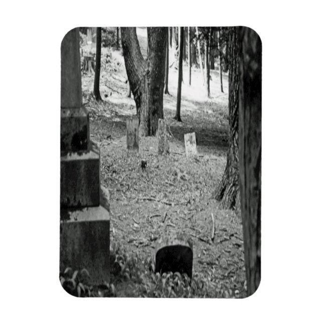 Íman Grave Esquecido (Vertical)