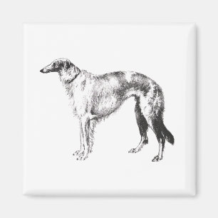 Íman Gravura a água-forte de Martynow do Borzoi