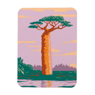 Íman GrCandidate Baobab