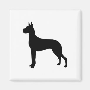 Íman Great dane