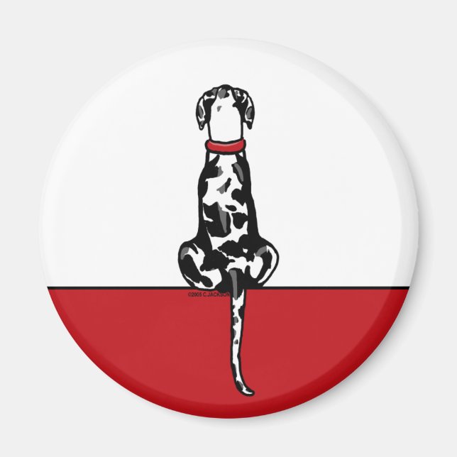 Íman Great Dane Sit Harle UC (Frente)