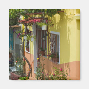 Íman GRÉCIA, Ilhas do Egeu Nordeste, LESVOS