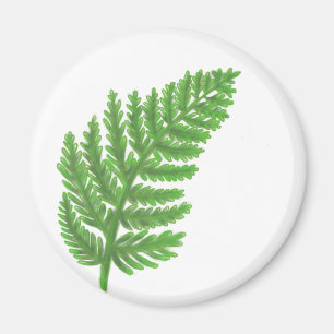 Íman Green Fern