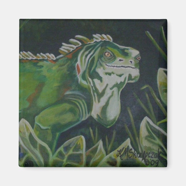 Íman Green Lizard Iguana Magnet (Frente)