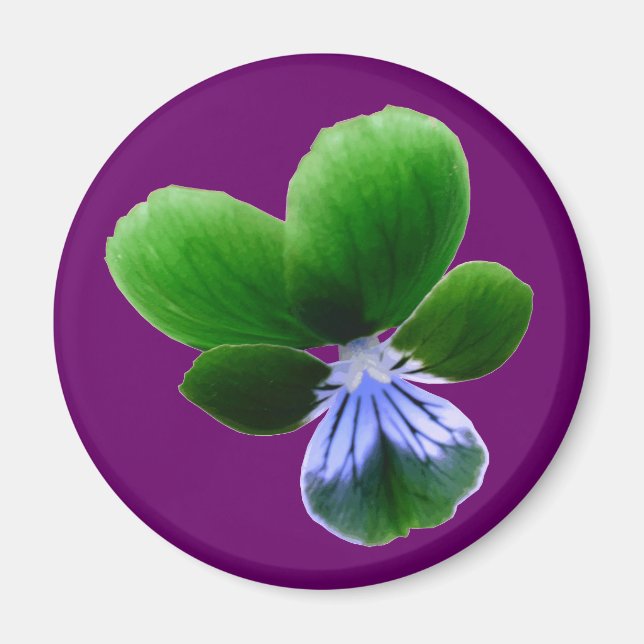 Íman Green Pansy Magnet (Frente)