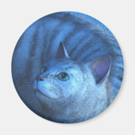 Íman Grey Cat 4 Magnet