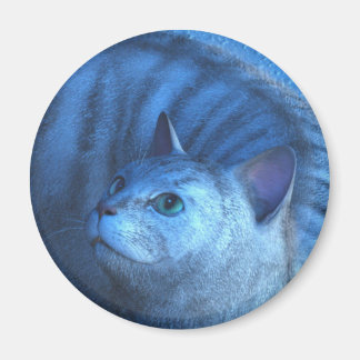 Íman Grey Cat 4 Magnet