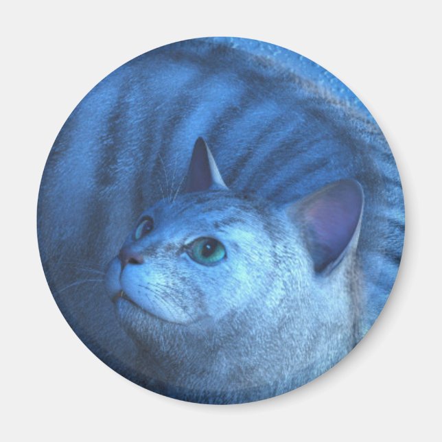 Íman Grey Cat 4 Magnet (Frente)