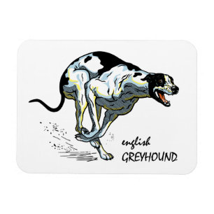 Íman greyhound