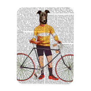 Íman Greyhound Cyclist