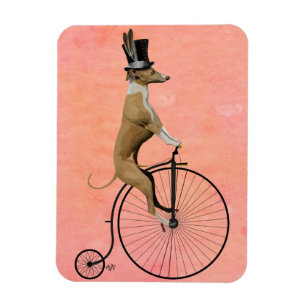 Íman Greyhound em Black Penny Farthing