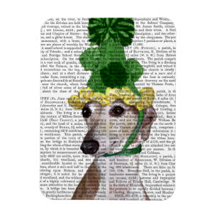 Íman Greyhound em Green Knmit Hat 2