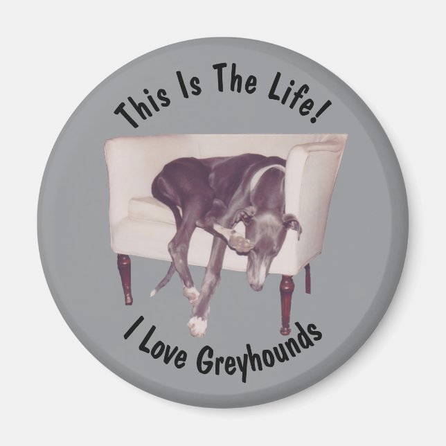 Íman Greyhound Esta É A Vida  (Frente)