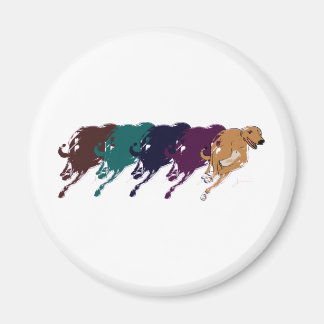 Íman Greyhound Gear