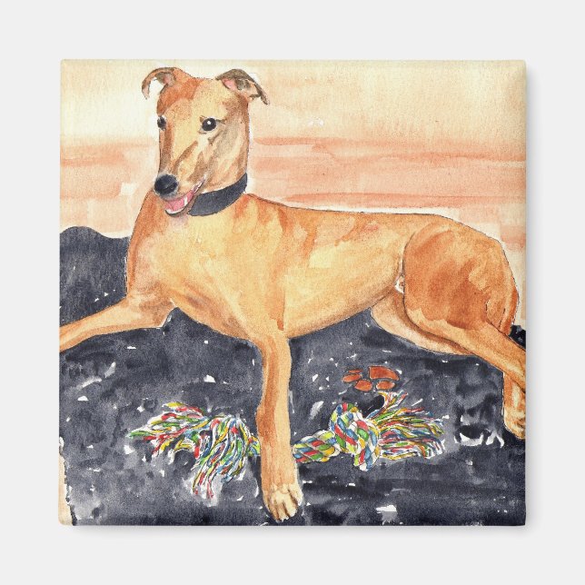 Íman Greyhound Magnet (Frente)