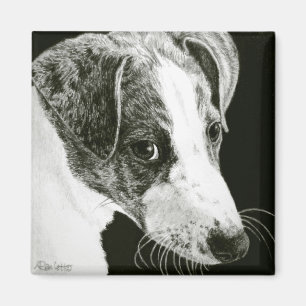 Íman Greyhound Pup Magnet - "Paddy"