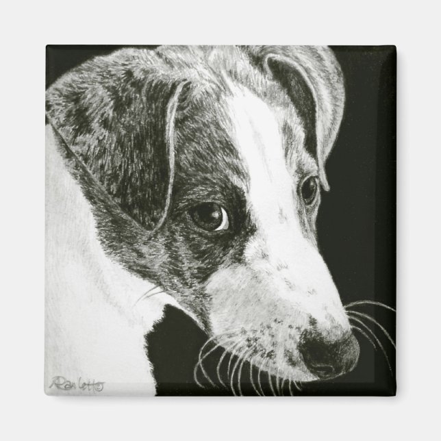 Íman Greyhound Pup Magnet - "Paddy" (Frente)