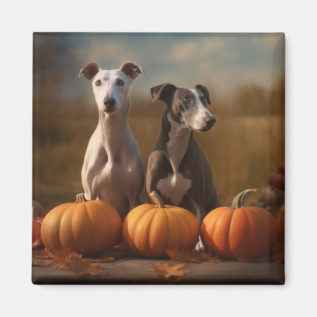 Íman Greyhound Puppy Autumn Delight Pumpkin (Frente)