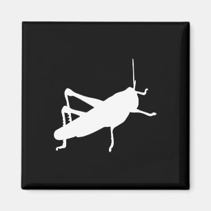 Íman Grhopper Grilo - Inseto Bug Fofo Engraçado