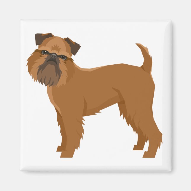 Íman Griffon Bruxellois (Frente)