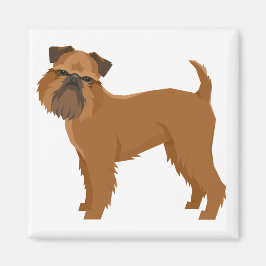 Íman Griffon Bruxelois