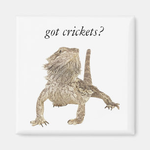 Íman Grilos obtidos