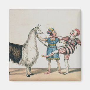 Íman Grimaldi e a alpaca, na pantomima popular