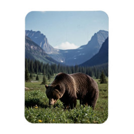 Íman Grizzly Bear in Glacier National Park Travel