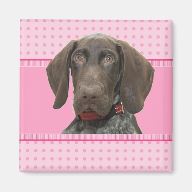 Íman Grizzly brilhante a rosa (Frente)