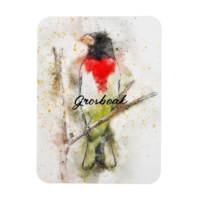 Íman Grosbeak (Pheucticus ludovicianus) (Vertical)