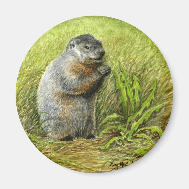 Íman Groundhog Magnet (Frente)