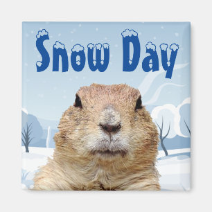 Íman Groundhog Snow Day