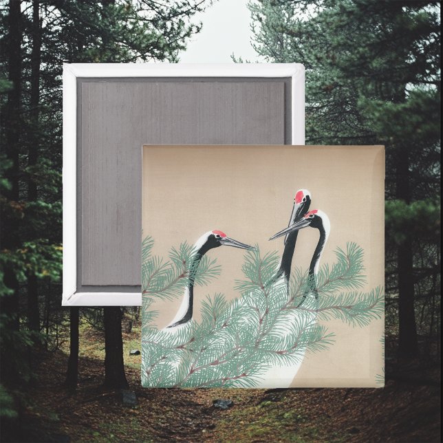 Íman Gruas (Criador carregado)