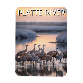 Íman Gruas-da-areia do Rio Platte Viagem Nebraska
