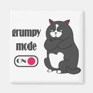 Íman Grumpy mode on funny fat cat 