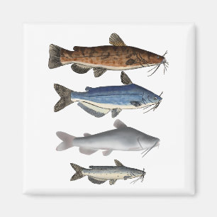 Íman Grupo de pesca da América do Norte
