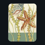 Íman Grupo de Shell Multicolores<br><div class="desc">Charikilia Zarris é uma artista talentosa conhecida por sua trabalho de arte oceânica. As imagens dela são pacíficas e calmas, relaxando-vos com cada fotografia. Pegue esta trabalho de arte náutica com uma estrela-do-mar e uma concha sendo o centro de tudo, junto com uma bela alga. Esta imagem ficará excelente em...</div>