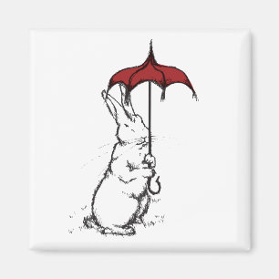 ÍMAN GUARDA-CHUVA