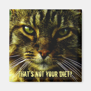 Íman Guarda engraçada da dieta do gato