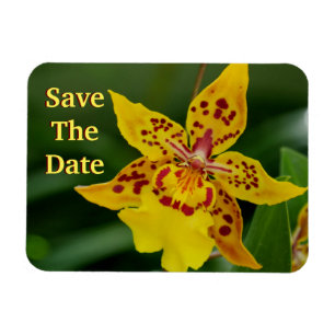 Íman Guardar o Magneta Orquídea Amarelo de Data